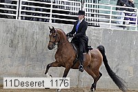 11deseret_1176 thumbnail