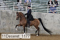 11deseret_1177 thumbnail