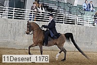 11deseret_1178 thumbnail