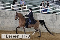 11deseret_1179 thumbnail