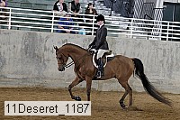 11deseret_1187 thumbnail