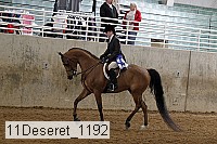 11deseret_1192 thumbnail