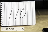 11deseret_1195 thumbnail