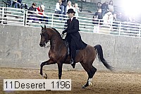 11deseret_1196 thumbnail