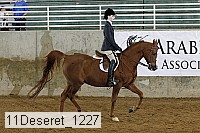 11deseret_1227 thumbnail