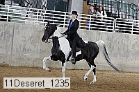 11deseret_1235 thumbnail