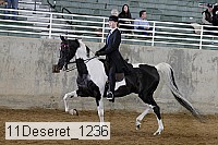 11deseret_1236 thumbnail