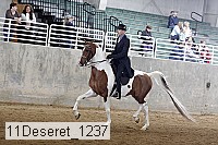 11deseret_1237 thumbnail