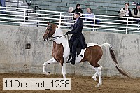 11deseret_1238 thumbnail