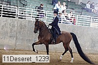 11deseret_1239 thumbnail