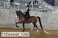 11deseret_1242 thumbnail