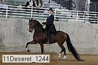 11deseret_1244 thumbnail