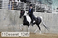 11deseret_1245 thumbnail