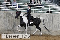 11deseret_1246 thumbnail