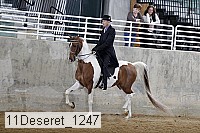 11deseret_1247 thumbnail