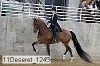 11deseret_1249 thumbnail