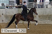 11deseret_1250 thumbnail