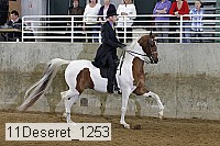 11deseret_1253 thumbnail