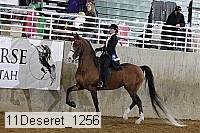 11deseret_1256 thumbnail