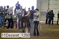 11deseret_1258 thumbnail