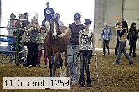 11deseret_1259 thumbnail