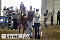 11deseret_1260 thumbnail