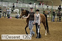 11deseret_1262 thumbnail