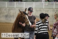 11deseret_1264 thumbnail