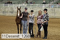 11deseret_1268 thumbnail