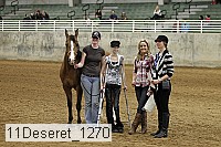 11deseret_1270 thumbnail