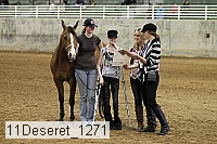 11deseret_1271 thumbnail