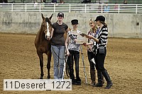 11deseret_1272 thumbnail