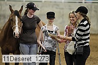 11deseret_1273 thumbnail