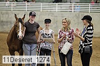 11deseret_1274 thumbnail