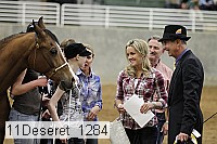 11deseret_1284 thumbnail