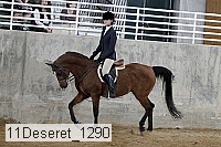 11deseret_1290 thumbnail