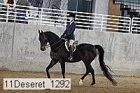 11deseret_1292 thumbnail