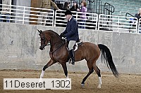 11deseret_1302 thumbnail