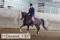 11deseret_1307 thumbnail