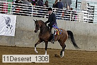 11deseret_1308 thumbnail