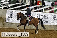 11deseret_1309 thumbnail