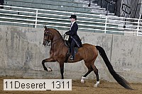 11deseret_1311 thumbnail