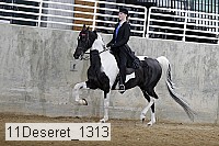 11deseret_1313 thumbnail