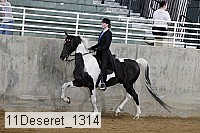 11deseret_1314 thumbnail