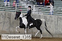 11deseret_1315 thumbnail