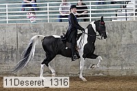 11deseret_1316 thumbnail