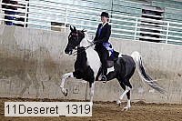11deseret_1319 thumbnail