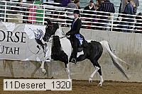 11deseret_1320 thumbnail