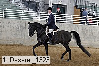 11deseret_1323 thumbnail