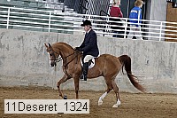 11deseret_1324 thumbnail